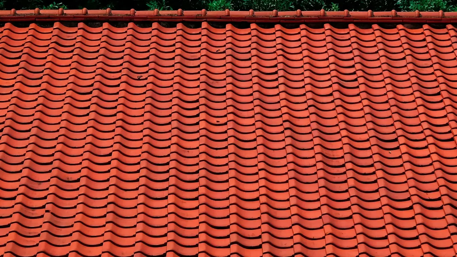Metal Roofing
